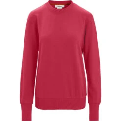 IcebreakerDamen Central II Pullover