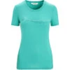 IcebreakerDamen Tech Lite II Cadence Paths T-Shirt -Bergzeit Verkäufe 1111830 001 pic1
