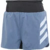 Adidas TerrexDamen Agravic 3" Shorts