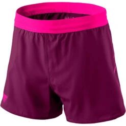 DynafitDamen Alpine 2 Shorts
